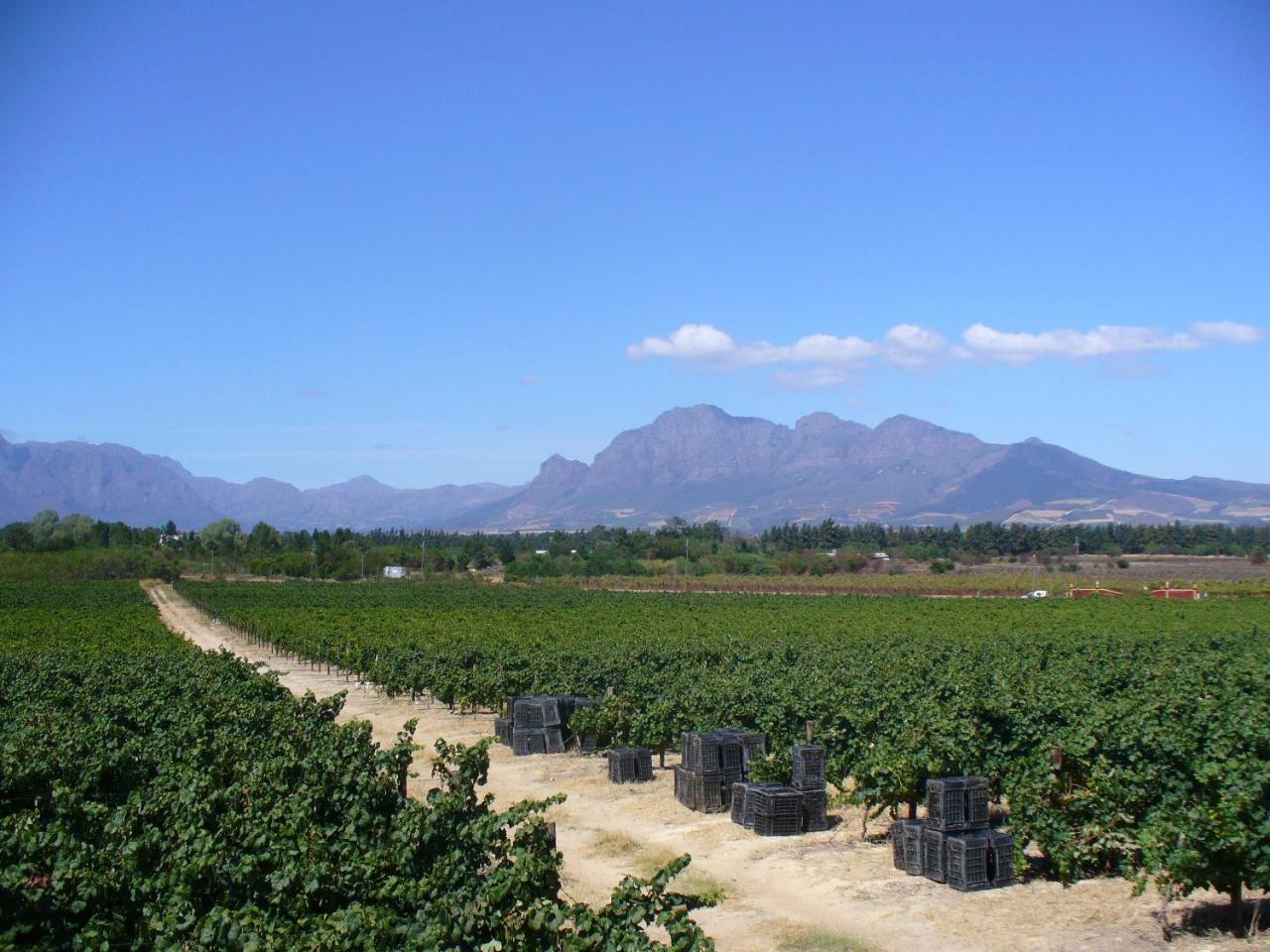 Hartebeeskraal Selfcatering Cottage Paarl Exterior photo